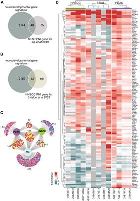 Dysregulation of core neurodevelopmental pathways—a common feature of cancers with perineural invasion